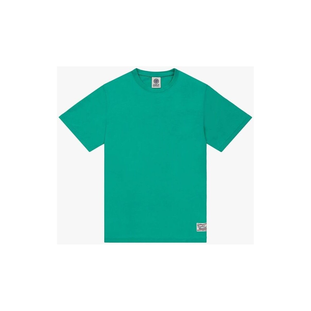 Textil Homem T-shirts e Pólos Franklin & Marshall JM3180.1009P01-108 Verde