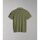 Textil Homem T-shirts e Pólos Napapijri GANDY 4 - NP0A4H8R-GAE1 GREEN LICHEN Verde