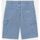 Textil Homem Shorts / Bermudas Dickies GARYVILLE DNM SHORT - DK0A4XCK-C151 - VNTG BLUE Azul