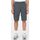 Textil Homem Shorts / Bermudas Dickies MILLERVILLE SHORT - DK0A4XED-CH01 - CHARCOAL GREY Cinza