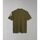 Textil Homem T-shirts e Pólos Napapijri E-AMUNDSEN NP0A4H6A-GAE1 GREEN LICHEN Verde