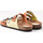 Sapatos Mulher Sapatos & Richelieu Interbios Sandalias Inter-Bios 7213 Naranja Limón Manzana Laranja
