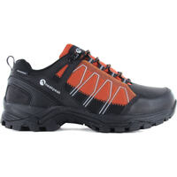 Sapatos Homem Sapatos de caminhada Neak Peak FOCUS LOW Multicolor