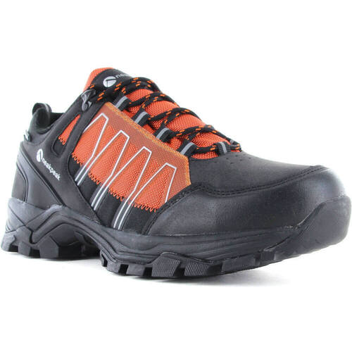Neak Peak FOCUS LOW Multicolor