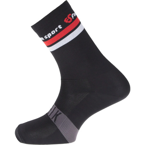 Acessórios Homem Meias de desporto Gobik CHROME CAA 22 forumsport Multicolor