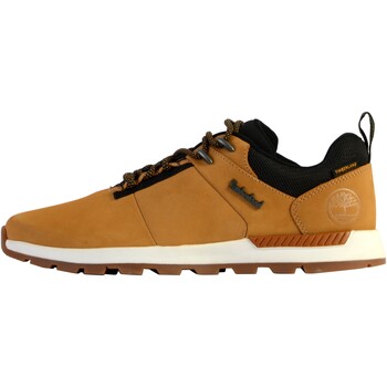 Sapatos Homem Sapatilhas Timberland 214856 Amarelo