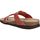 Sapatos Mulher Sandálias Interbios 7119 Rosa