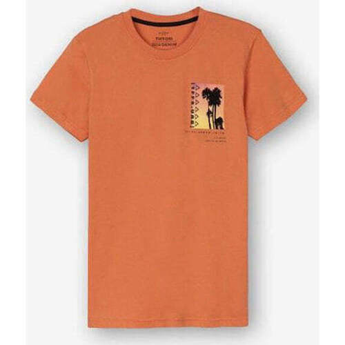 Textil Rapaz T-shirts e Pólos Tiffosi 10049740-437-10-21 Laranja
