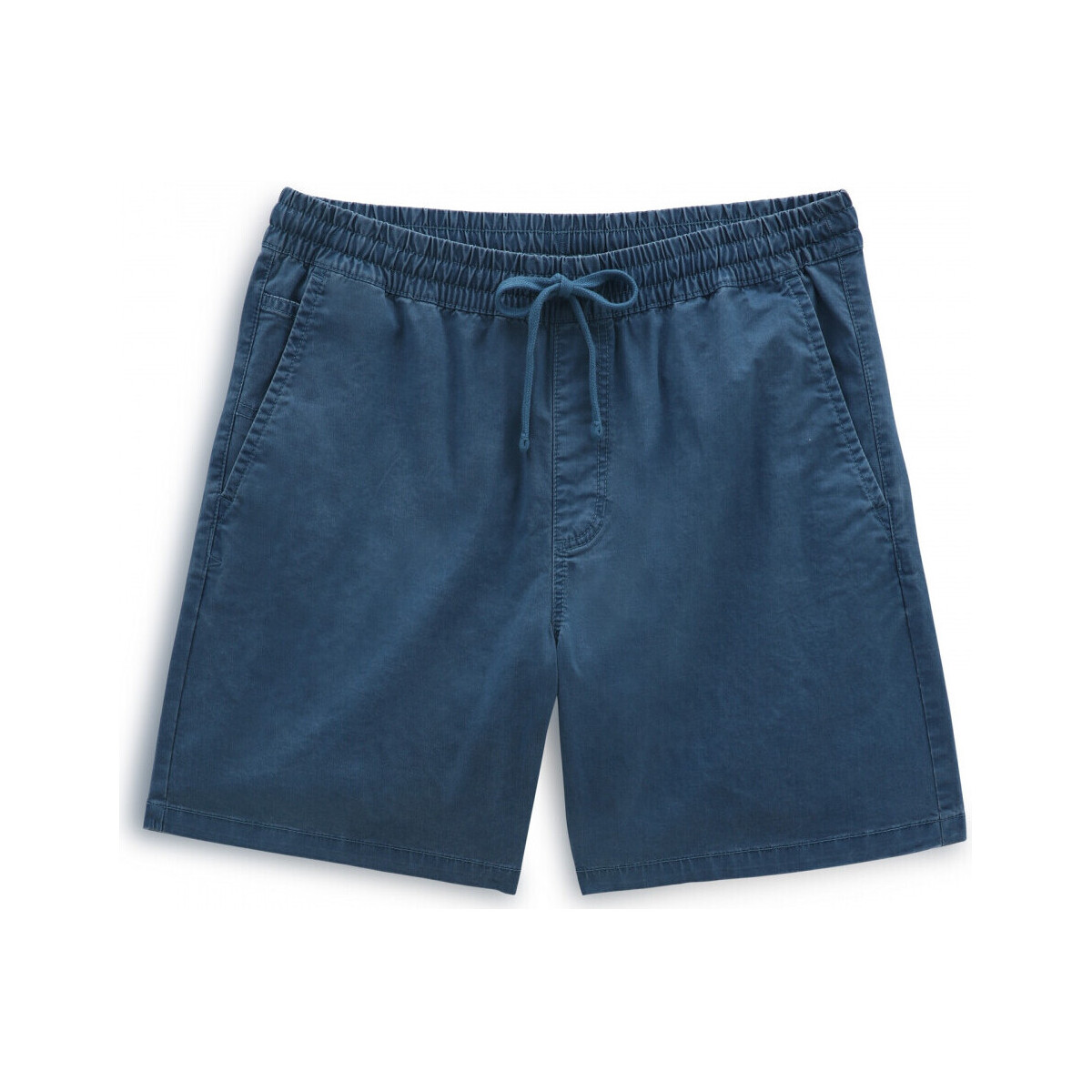 Textil Homem Shorts / Bermudas Vans Range salt wash relaxed elastic short Verde