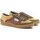 Sapatos Homem Sapatos & Richelieu Morrison Zapatillas Casual  Wild Amarelo