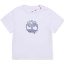 Textil Rapaz T-shirts e Pólos Timberland T95935-10P-1-12 Branco
