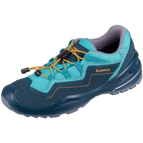 Sapatos Criança Sapatos de caminhada Lowa Robin Evo Gtx Azul