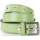 Acessórios Mulher Cinto Jaslen Cinturones Verde