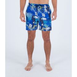 Textil Homem Fatos e shorts de banho Hurley MBS0011510 CANNONBALL VOLLEY 17-H4026 HYDRO Azul