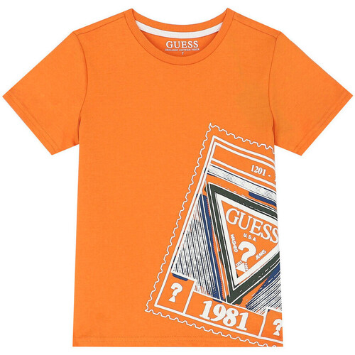 Textil Rapaz T-shirts e Pólos Guess  Laranja