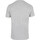 Textil Homem Polos mangas curta Blend Of America TEE LETTERS Cinza