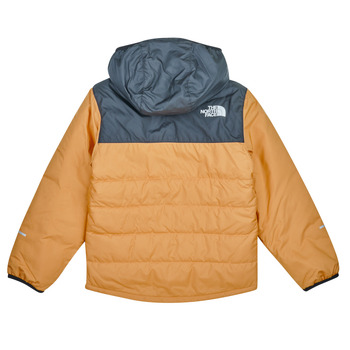 The North Face Boys Never Stop Synthetic Jacket Castanho