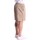 Textil Homem Shorts / Bermudas Dickies DK0A4XB2 Bege
