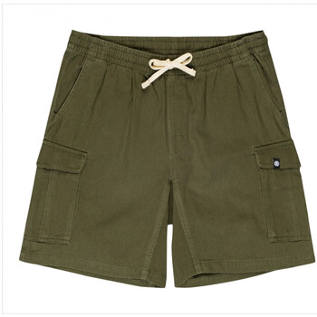 Textil Homem Shorts / Bermudas Element Utility wkst Verde