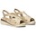 Sapatos Mulher Escarpim Pitillos 5010 Ouro