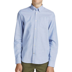 Textil Criança T-shirt mangas compridas logo-check short-sleeve shirt  Azul