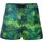 Textil Homem Shorts / Bermudas 4giveness FGBM2626 Multicolor