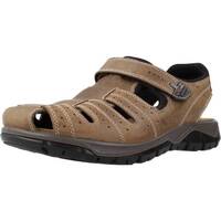 Sapatos Homem Sandálias IgI&CO 3641222 Castanho