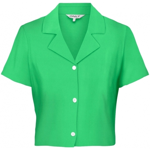 Textil Mulher Tops / Blusas Only Camisa Caro Linen - Summer Green Verde