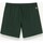 Textil Homem Shorts / Bermudas Colmar 7269 Verde