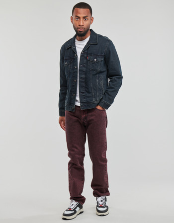 Textil Homem Calças fun Jeans Levi's 501® LEVI'S ORIGINAL Castanho