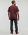 Textil Homem T-Shirt mangas curtas Levi's Logo Brush Couture Jacket Castanho