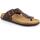 Sapatos Homem Chinelos Grunland DSG-CC1637 Castanho