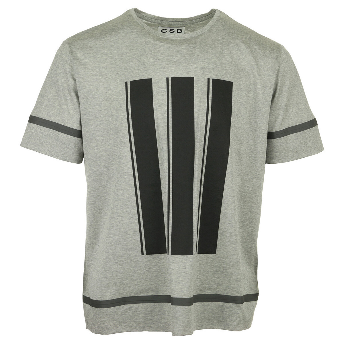 Textil Homem T-Shirt mangas curtas Csb London Stripe Printed T-Shirt Cinza