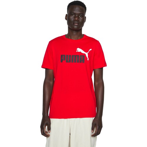Textil Homem T-Shirt mangas curtas Puma  Vermelho