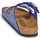 Sapatos Mulher Chinelos Birkenstock ARIZONA Azul
