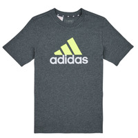 Textil Rapaz T-Shirt mangas curtas Adidas Sportswear BL 2 TEE Cinza / Branco / Verde
