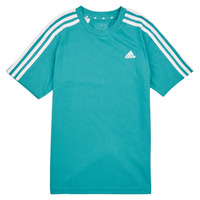 Textil Botasça T-Shirt mangas curtas Adidas Sportswear 3S TEE Branco / Multicolor