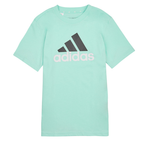 Textil Criança T-Shirt mangas chicagos Adidas Sportswear BL 2 TEE Azul / Branco / Preto
