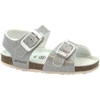 Sapatos Criança Sandálias Grunland GRU-CCC-SB1258-AR Prata