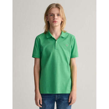 Textil Rapaz Quadros / telas Gant Kids 902201-337-4-23 Verde