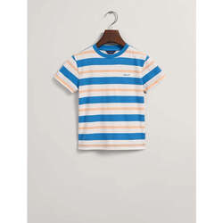 Textil Rapaz T-shirts e Pólos Gant Kids 805172-471-3-17 Azul