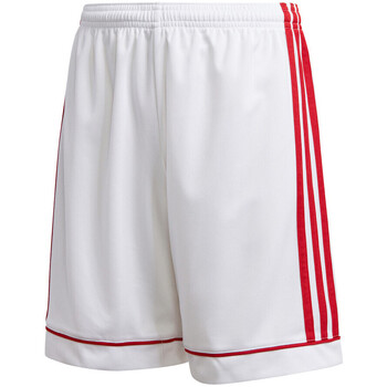 Textil Rapaz Shorts / Bermudas Cal adidas Originals  Branco