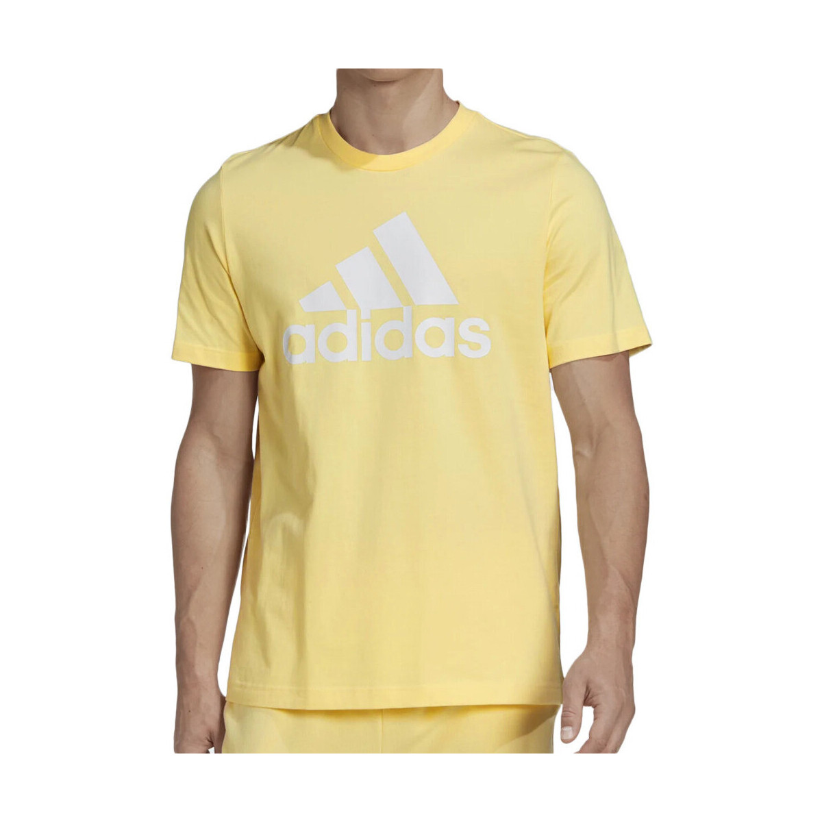 Textil Homem T-shirts e Pólos adidas Originals  Amarelo