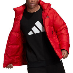 adidas w8 lifter suit price in india pakistan