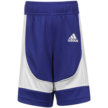 Textil Rapaz Shorts / Bermudas Back adidas Originals  Azul