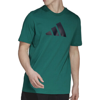 Textil Homem Czarny T Shirt adidas Originals  Verde