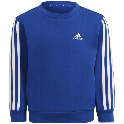 Textil Rapaz Sweats COT adidas Originals  Azul