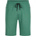 Textil Homem Shorts / Bermudas Mario Russo Pique Short Verde