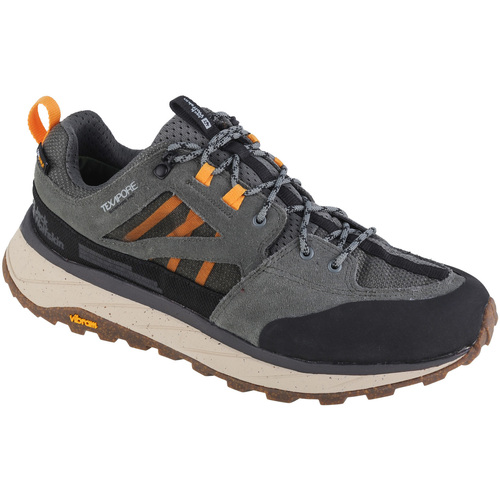 Sapatos Homem The North Face Jack Wolfskin Terraquest Texapore Low M Verde