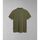 Textil Homem T-shirts e Pólos Napapijri ELBAS JERSEY - NP0A4GB4-GAE GREEN LICHEN Verde